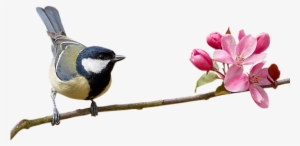 Deus No Comando Sempre #17930