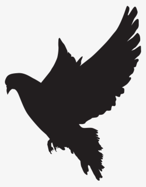 Dove Png #18011