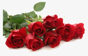 Red Rose Png Free Download - Good Morning Red Rose #18078