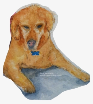 “doc” The Dog - Dog Yawns #18116