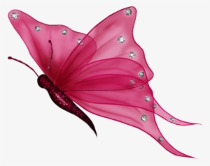 View Album On Yandex - Transparent Background Butterfly Clipart #18372