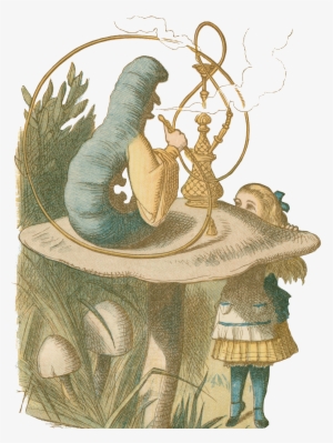 Spotlight On Wonderland #18590 Spotlight On Wonderland #18590