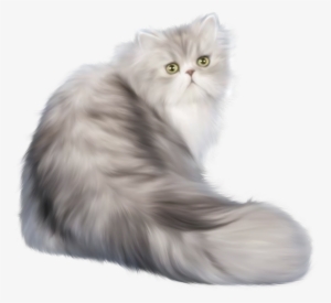 Cat Png Clip Art - Long Hair Cat Png #18609