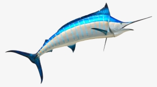 Free Png Fish Png Images Transparent - Png Fish #18629