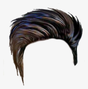 Men Hair Png Download Image - Hair Style Png Hd #18671
