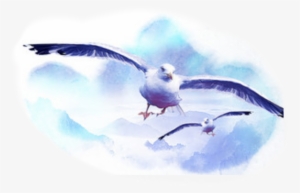 Report Abuse - Great Black-backed Gull #18673