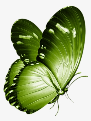 Pin By Carmen Dungan #18873