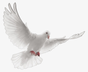 Graphic Royalty Free Library Stroud Lawrence Funeral - Portable Network Graphics #19283 Graphic Royalty Free Library Stroud Lawrence Funeral - Portable Network Graphics #19283