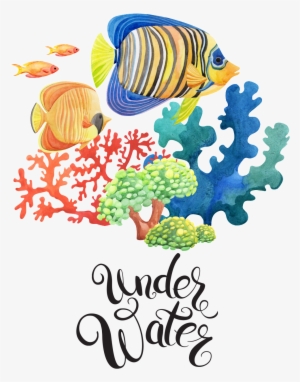 Hand Painted Sea Bottom Watercolor Fish Png Transparent - Sea #19480