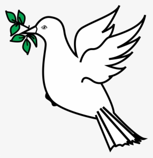Dove And Olive Branch - Dove With Olive Branch Clipart #19551