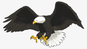 Eagle Png Png Clip Art Image #19592