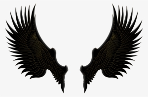 Wings Png #19679 Wings Png #19679