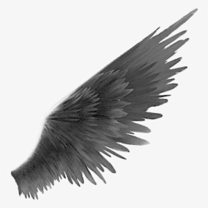 Black Wings Png Transparent Image - Angel Black And White Png #19991 Black Wings Png Transparent Image - Angel Black And White Png #19991