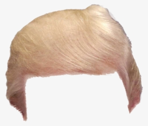 Support Trump Share The Hair Vector Transparent Download - Trump Wig Png #100016