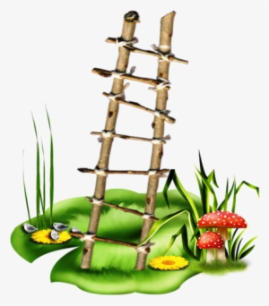 Mushrooms February 2015, Views Album, Ladder, Clip - Transparent Background Ladder Png Clipart #100294