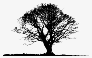 Black Tree Png Photos - Black And White Tree Png #100512