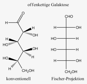Galactose Open Chain - Fischer Projection To Open Chain #100763