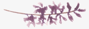 Purple Water Sprig Cartoon Transparent - Water #100910