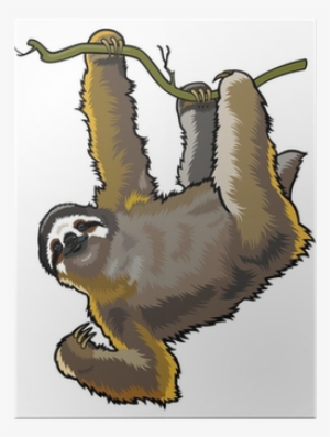 Brown Three Toed Sloth Greeting Card #101410
