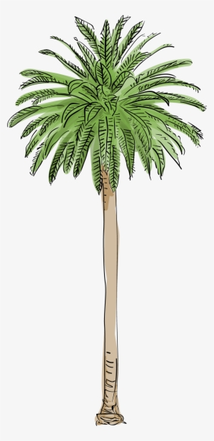 Ariana Grande Clipart Palm Tree - Los Angeles Palm Trees #101608