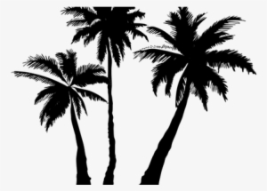 Clipart Transparent Stock Palm Trees Silhouette K Pictures - White Palm Tree Png #101877