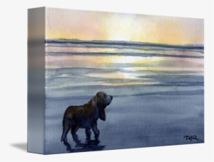 "basset Hound Sunset" By David Rogers, Fresno // Basset - Canvas Print #102047