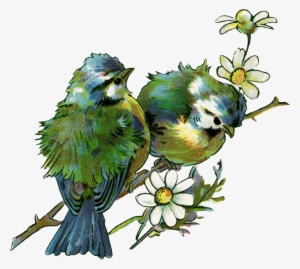 I Love This Bird Image, One Of My Favorites - Vintage Bird Design #102072