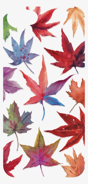 Backplate 3pb0100126l B048 V=1511158487 - Polar Bear #102165