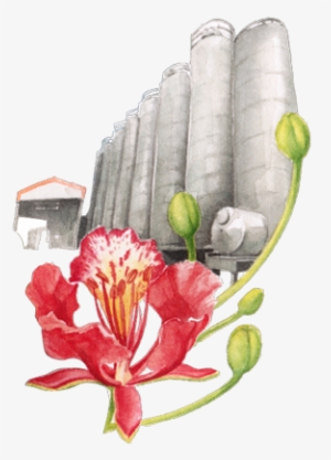 Hatsun Agro Products #102169