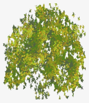 Png Illustrator Top View Trees #102651