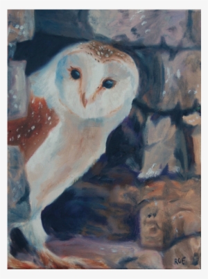 Oil Oil Painting - Barn Owl #102673