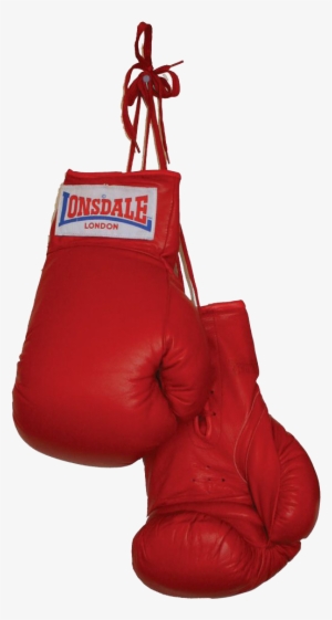 Boxing Gloves Download Png - Boxing Gloves Jpg #102741