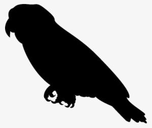 Zoom - African Grey Parrot Silhouette #103269