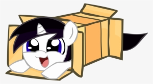 Saints Fleur De Lis Stencil - Pony Sliding Into Box #103494