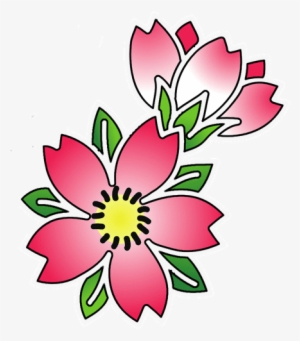 Cherry Blossom Tattoos High Quality Photos And Flash - Cherry Blossom Flower Tattoo Outline #103737