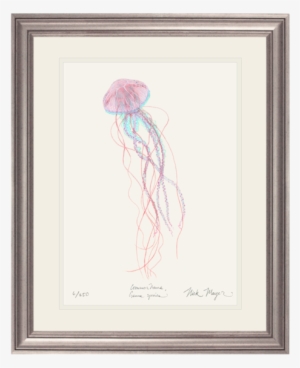 Jack-in-the-pulpit #103847