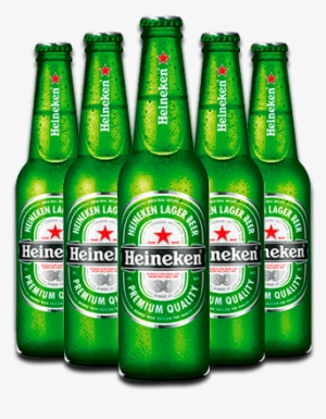 Heineken Beer Bottles (6 Pack) (330ml) #104218