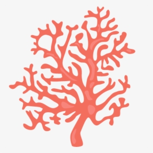 Coral Clipart Png - Coral Clipart Transparent Background #104285