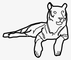 Tiger - My Icon Story Ltd #104901