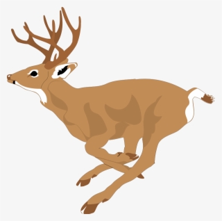 Deer 4 Free Vector - Running Deer Clip Art #105120