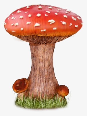 Mushroom Png File - Mushroom Png #105342