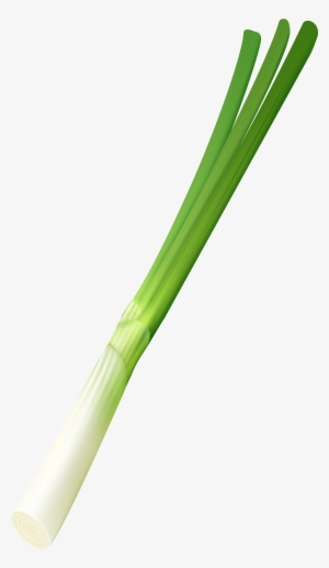 Onion Png #105801