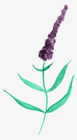Watercolor Lavender Png Black And White - Watercolor Painting #105992