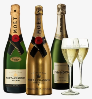 Champagne - Bahamas Red Wine #106164