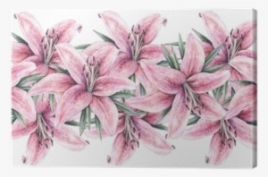 Png Free Stock Amaryllis Drawing Lily Plant - Watercolor Painting #106567