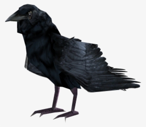 Raven - Fallout New Vegas Raven #106680