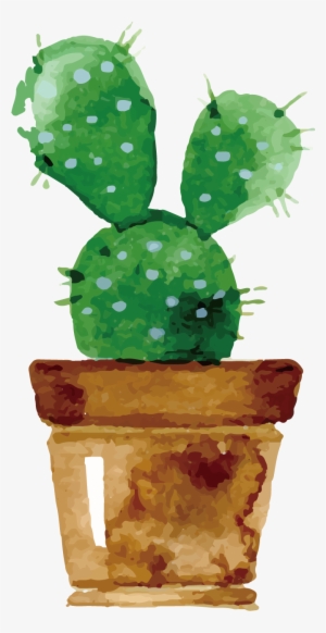 Cactaceae Watercolor Painting Drawing Succulent Plant - Cute Cactus Drawing Watercolor #106891