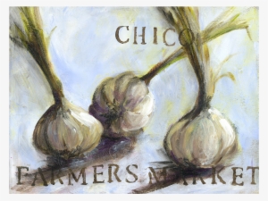 Garlic Chico - Chico #107001