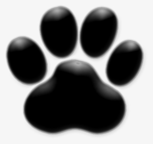 Pawprint - Capa Para Stories Do Instagram #107003