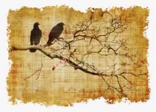 Parchment Birds Branch Branches Old Statio - Mavera Mevsimler Kitap #107117